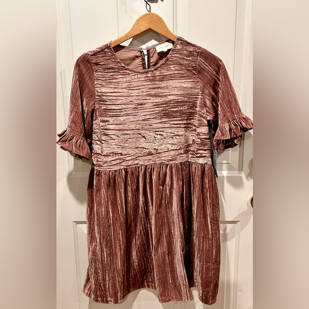 Melloday Ruffle Sleeve crinkle Velvet Mini Dress in Blush Size XS